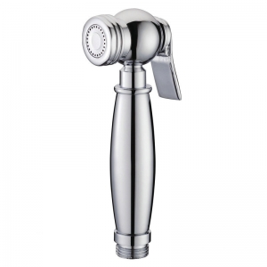 Rolya Brass Chrome hand shower for toilet